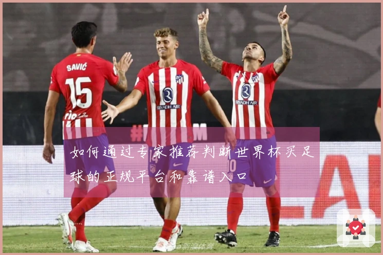 如何通过专家推荐判断世界杯买足球的正规平台和靠谱入口