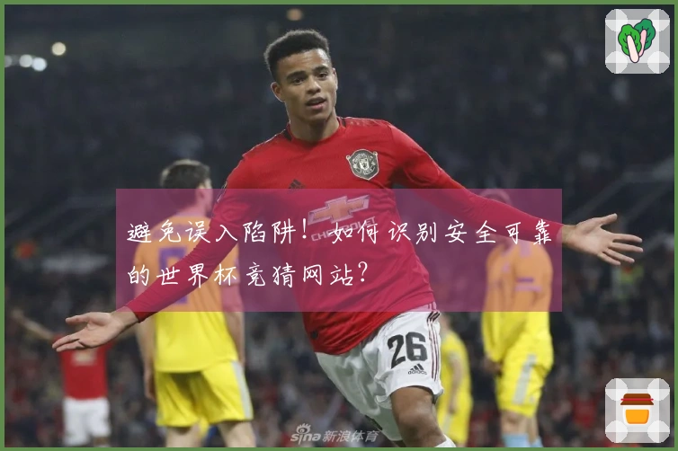 避免误入陷阱！如何识别安全可靠的世界杯竞猜网站？