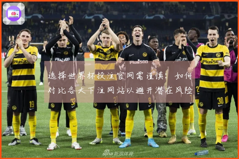 选择世界杯投注官网需谨慎：如何对比各大下注网站以避开潜在风险