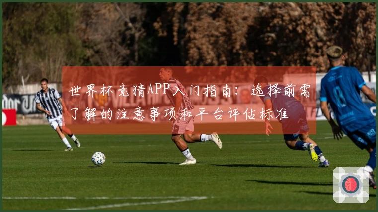 世界杯竞猜APP入门指南：选择前需了解的注意事项和平台评估标准