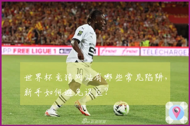 世界杯竞猜网站有哪些常见陷阱，新手如何避免误区？