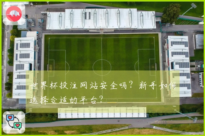 世界杯投注网站安全吗？新手如何选择合适的平台？