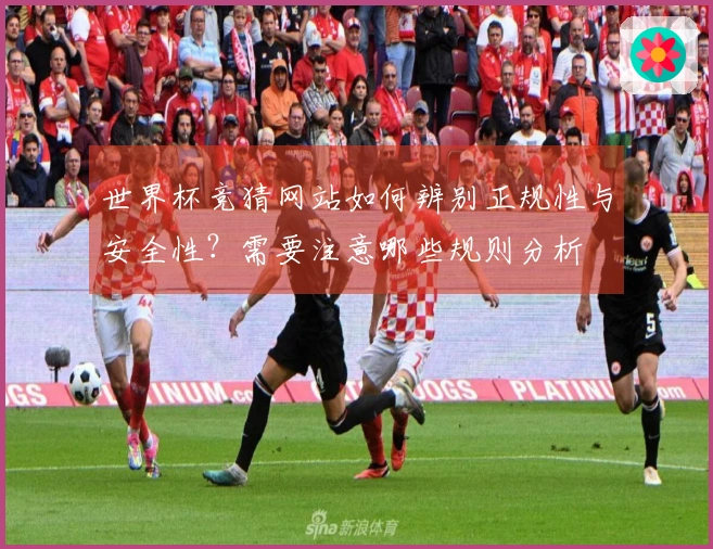 世界杯竞猜网站如何辨别正规性与安全性？需要注意哪些规则分析