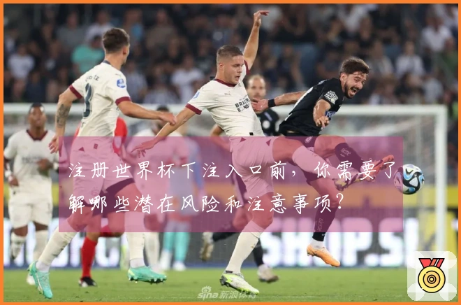 注册世界杯下注入口前，你需要了解哪些潜在风险和注意事项？