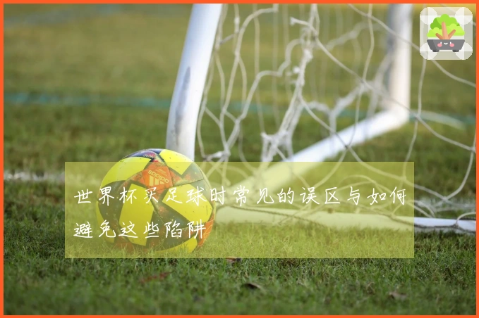 世界杯买足球时常见的误区与如何避免这些陷阱