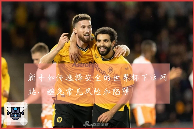 新手如何选择安全的世界杯下注网站，避免常见风险和陷阱