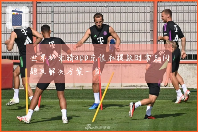 世界杯竞猜app充值和提款时常见问题及解决方案一览