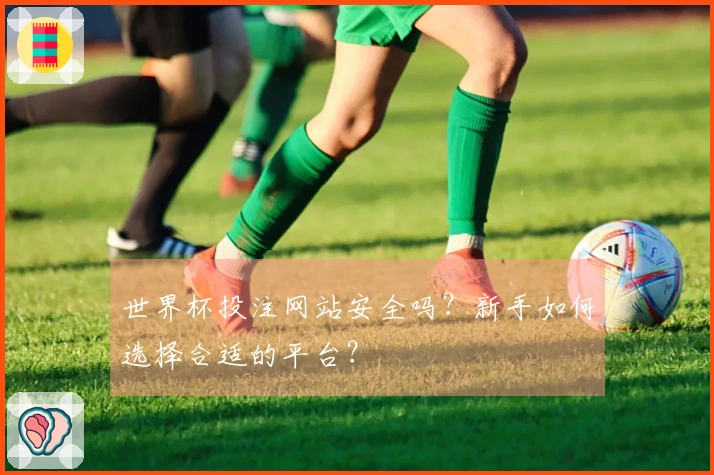 世界杯投注网站安全吗？新手如何选择合适的平台？