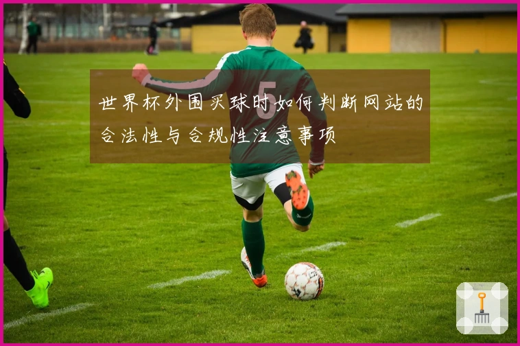 世界杯外围买球时如何判断网站的合法性与合规性注意事项