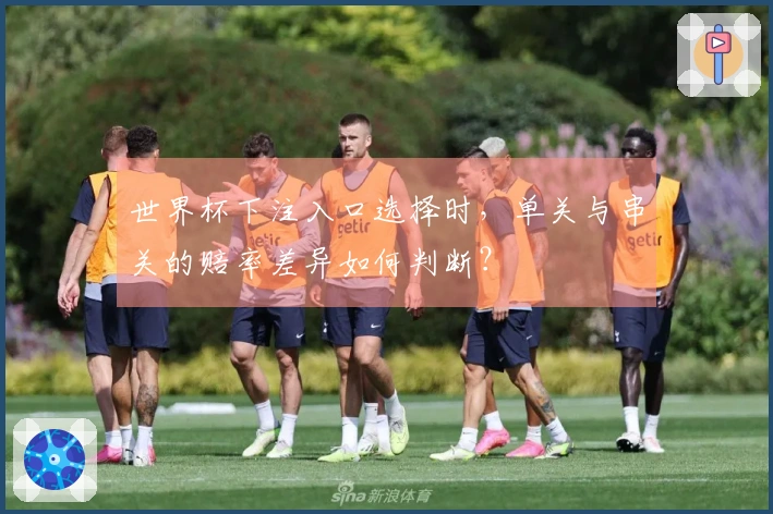 世界杯下注入口选择时，单关与串关的赔率差异如何判断？