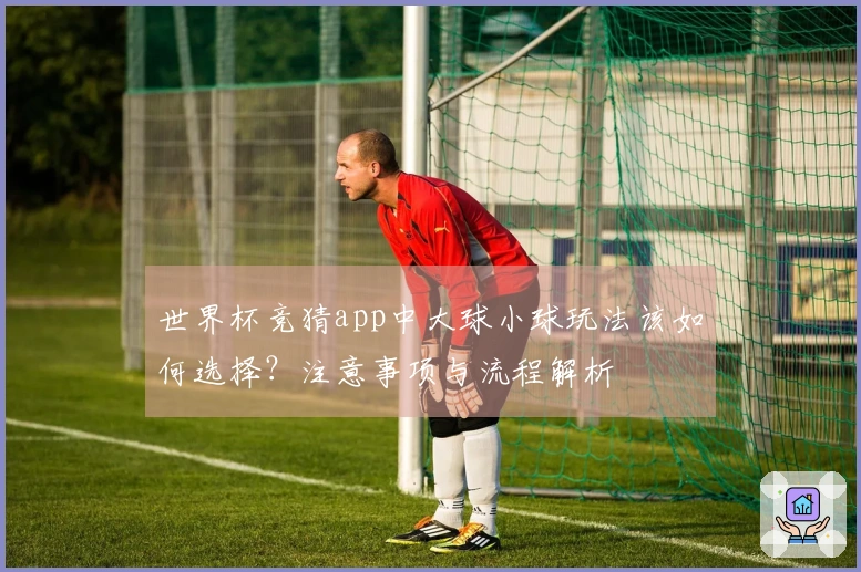 世界杯竞猜app中大球小球玩法该如何选择？注意事项与流程解析