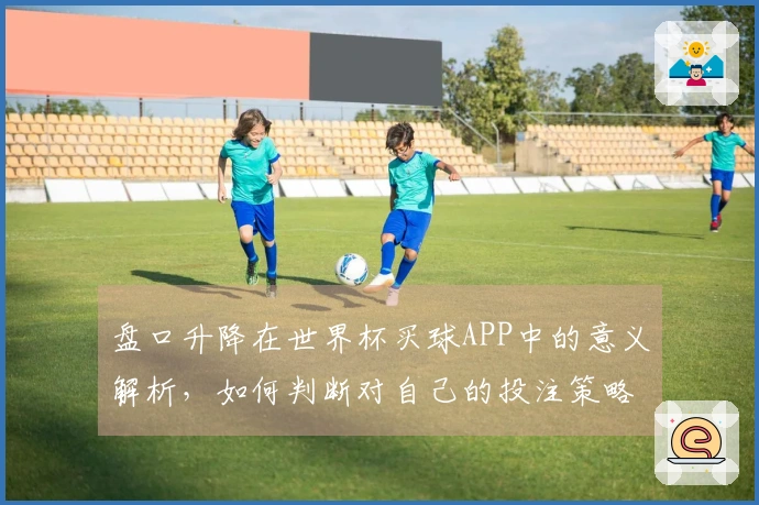盘口升降在世界杯买球APP中的意义解析，如何判断对自己的投注策略有影响