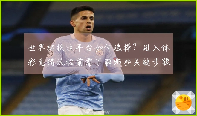 世界杯投注平台如何选择？进入体彩竞猜流程前需了解哪些关键步骤