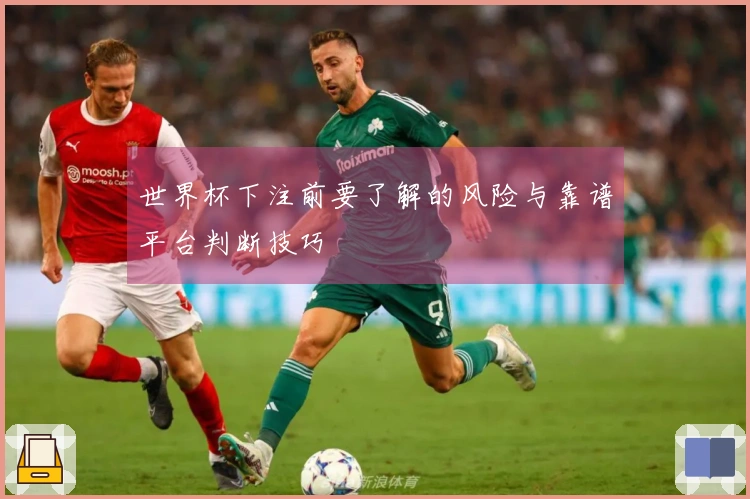 世界杯下注前要了解的风险与靠谱平台判断技巧