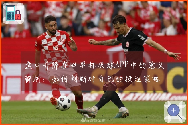 盘口升降在世界杯买球APP中的意义解析，如何判断对自己的投注策略有影响
