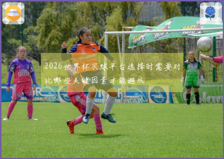 2026世界杯买球平台选择时需要对比哪些关键因素才能避坑