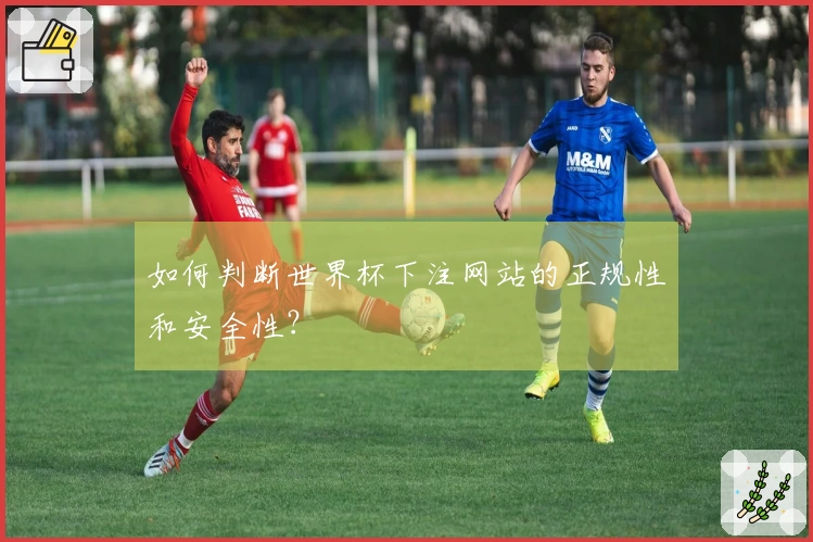 如何判断世界杯下注网站的正规性和安全性？