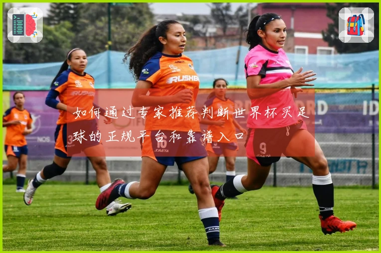 如何通过专家推荐判断世界杯买足球的正规平台和靠谱入口