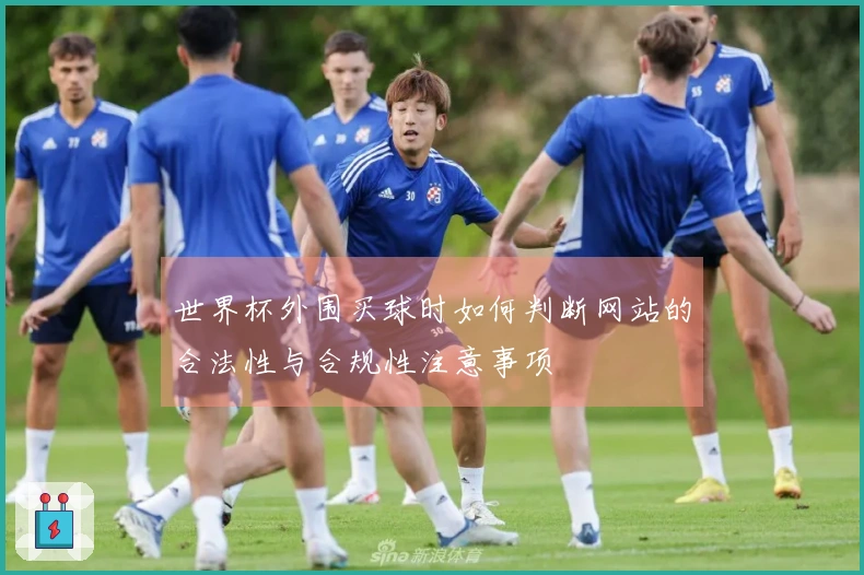 世界杯外围买球时如何判断网站的合法性与合规性注意事项