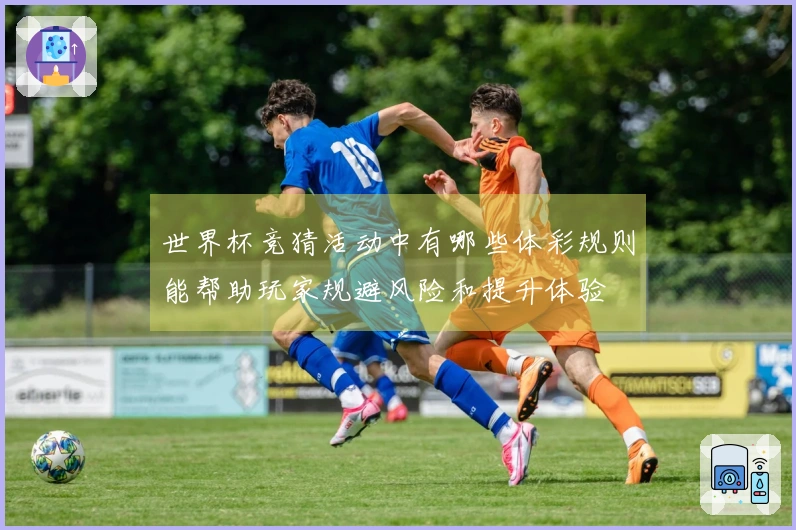 世界杯竞猜活动中有哪些体彩规则能帮助玩家规避风险和提升体验