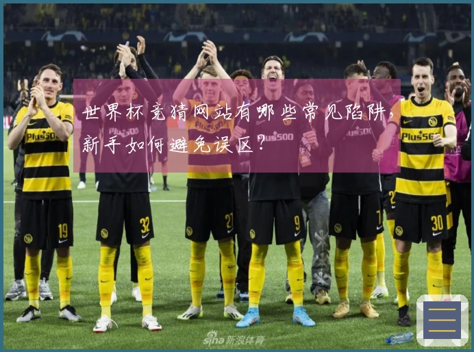 世界杯竞猜网站有哪些常见陷阱，新手如何避免误区？