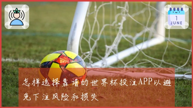 怎样选择靠谱的世界杯投注APP以避免下注风险和损失