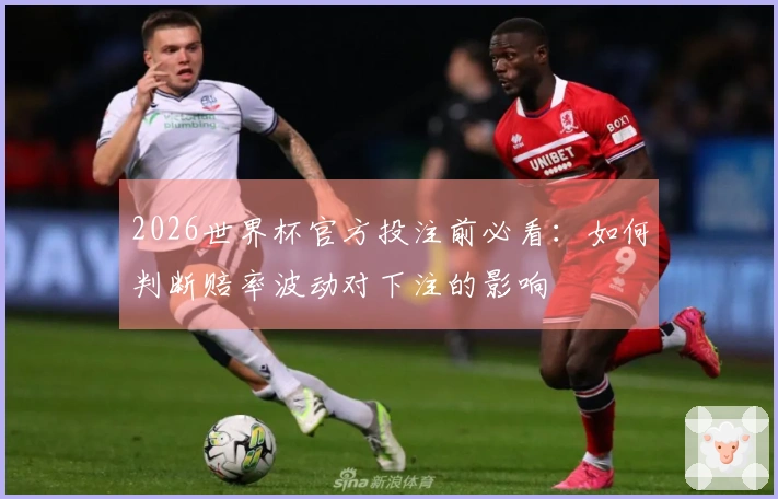 2026世界杯官方投注前必看：如何判断赔率波动对下注的影响